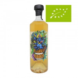 Gin Awen Ganesh