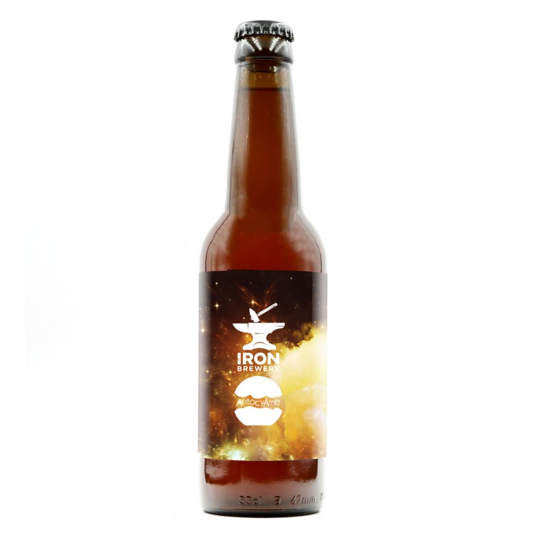 Bière Iron Grape Ale Wild Muscat et Saint-Émilion