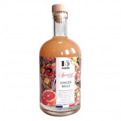 Base-Cocktail-Armateur-De-Rhum-15°-Ouest-Prestiges-Ginger-Mule